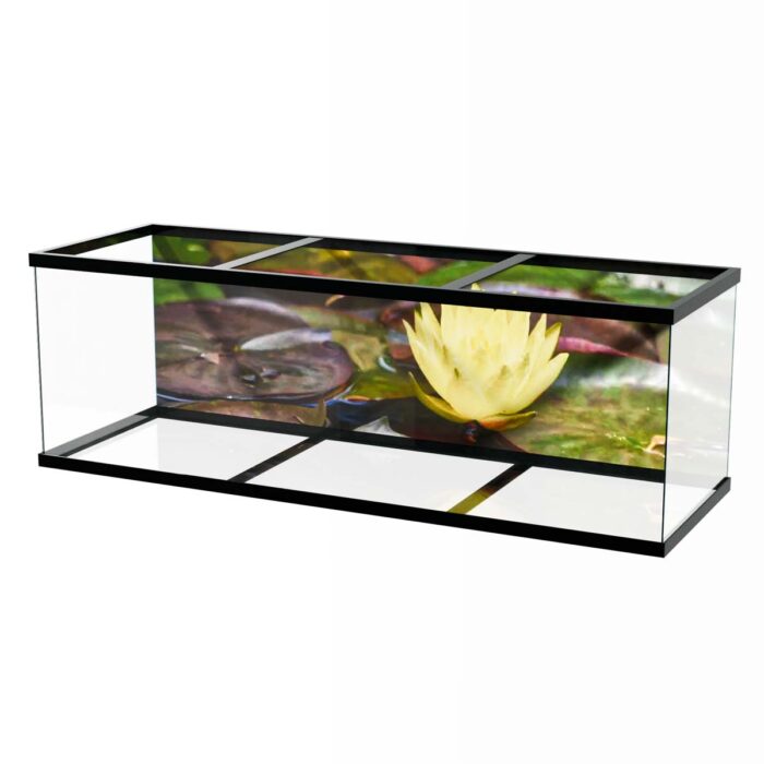 Water Lilly Pads VIII make a perfect background for any fresh or salt water tank or aquarium as well as dry terrariums.