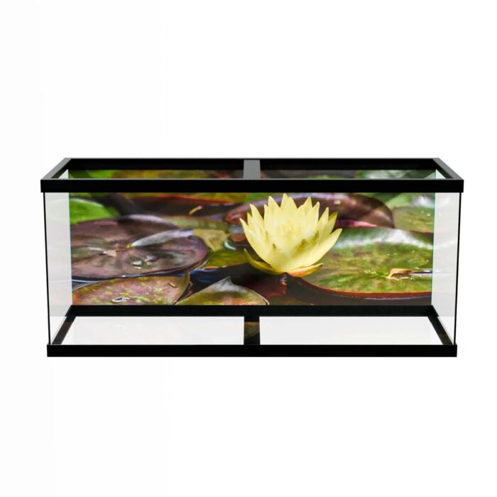 Water Lilly Pads VIII make a perfect background for any fresh or salt water tank or aquarium as well as dry terrariums.