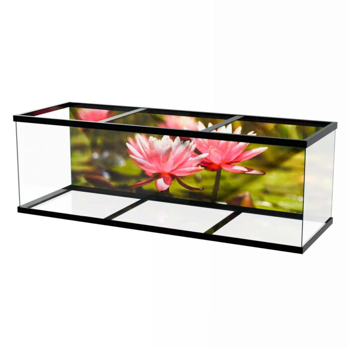 Water Lilly Pads IX make a perfect background for any fresh or salt water tank or aquarium as well as dry terrariums.