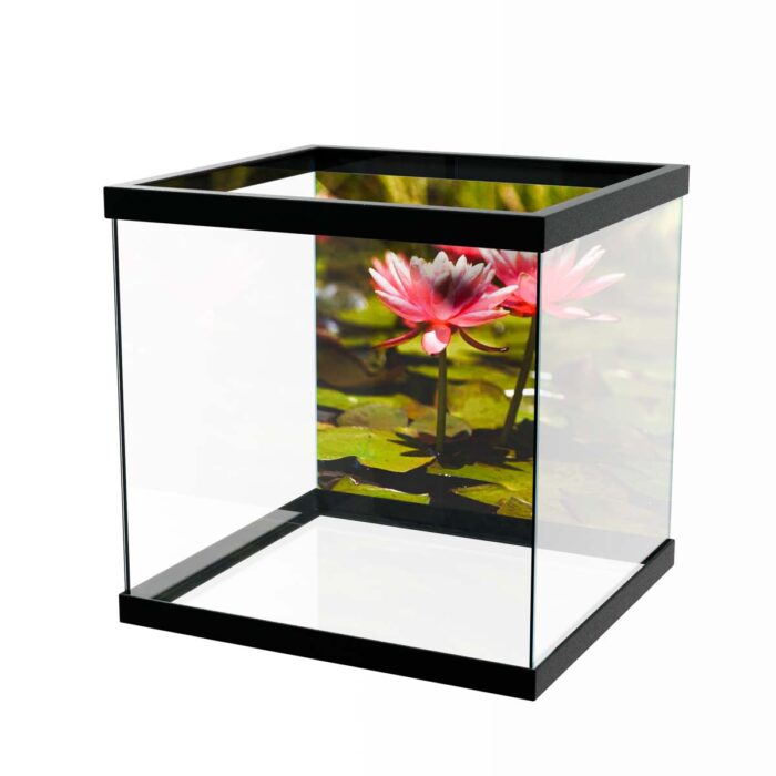 Water Lilly Pads IX make a perfect background for any fresh or salt water tank or aquarium as well as dry terrariums.