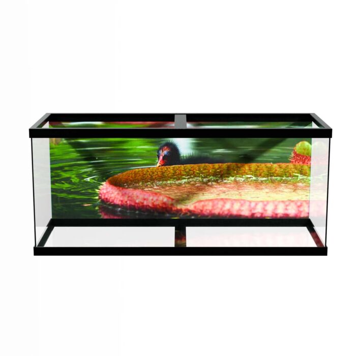 Water Lilly Duck II makes a perfect background for any fresh or salt water tank or aquarium as well as dry terrariums.