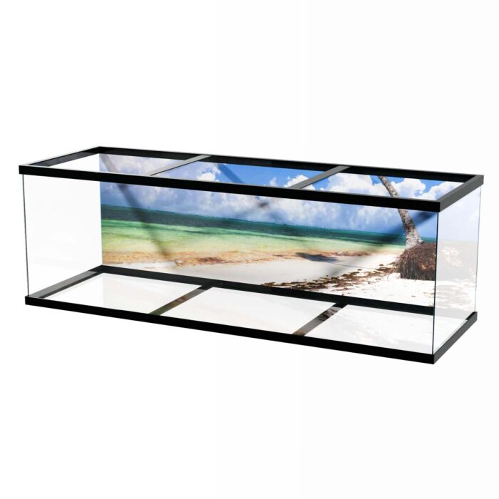 Palm Beach Clouds will make a perfect background for any fresh or salt water tank or aquarium as well as dry terrariums.