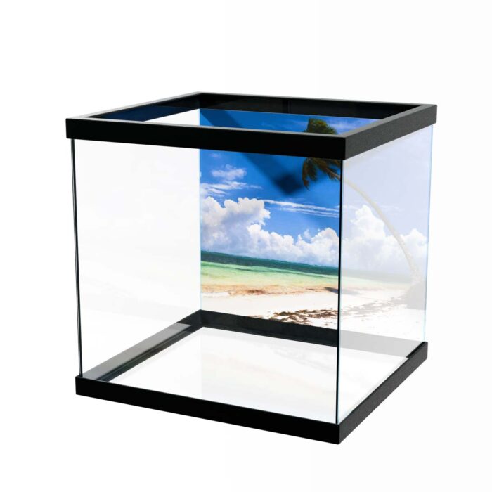 Palm Beach Clouds will make a perfect background for any fresh or salt water tank or aquarium as well as dry terrariums.