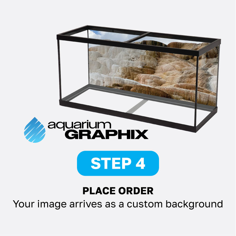 Step 2 Custom Image Tank Background