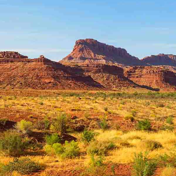 American Prairie Desert will make a perfect background for any fresh or salt water tank or aquarium as well as dry terrariums.