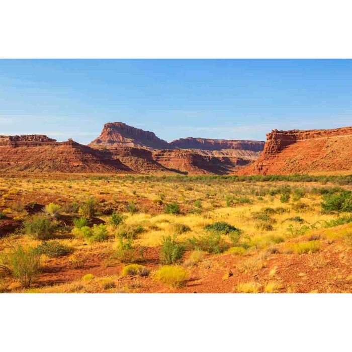 American Prairie Desert will make a perfect background for any fresh or salt water tank or aquarium as well as dry terrariums.