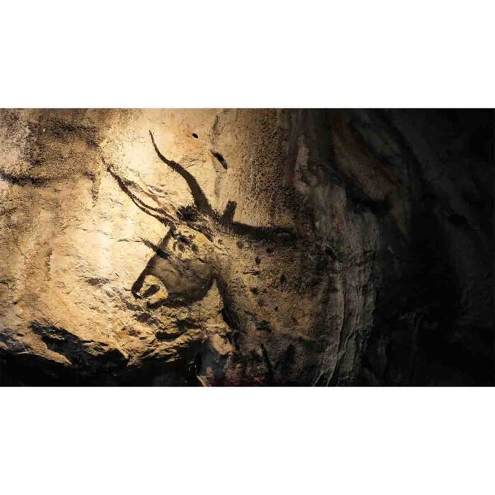 Ancient Cave Drawings II will make a perfect background for any fresh or salt water tank or aquarium as well as terrariums.