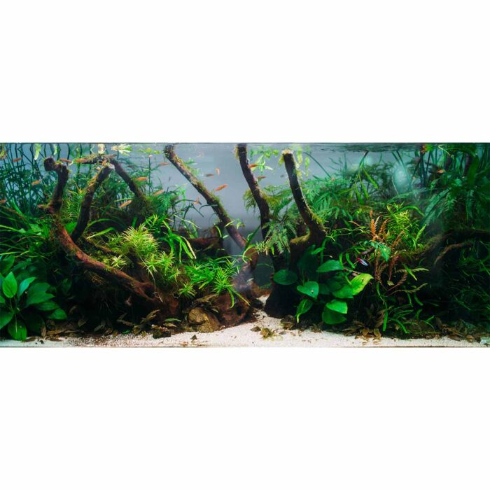 Aquarium Algae Flora III makes a perfect background for any fresh or salt water tank or aquarium as well as dry terrariums.