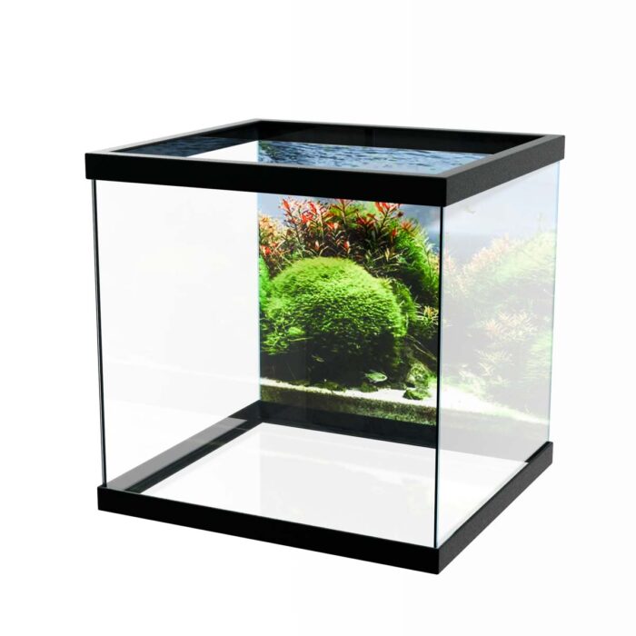 Aquarium Algae Flora makes a perfect background for any fresh or salt water tank or aquarium as well as dry terrariums.