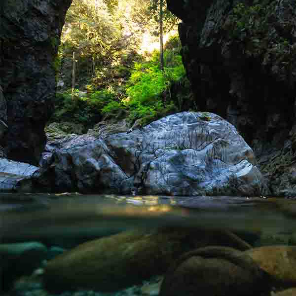 Beautiful Cave Stream will make a perfect background for any fresh or salt water tank or aquarium as well as dry terrariums.