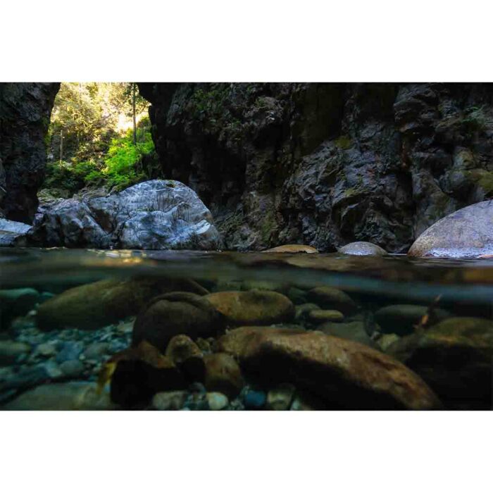 Beautiful Cave Stream will make a perfect background for any fresh or salt water tank or aquarium as well as dry terrariums.