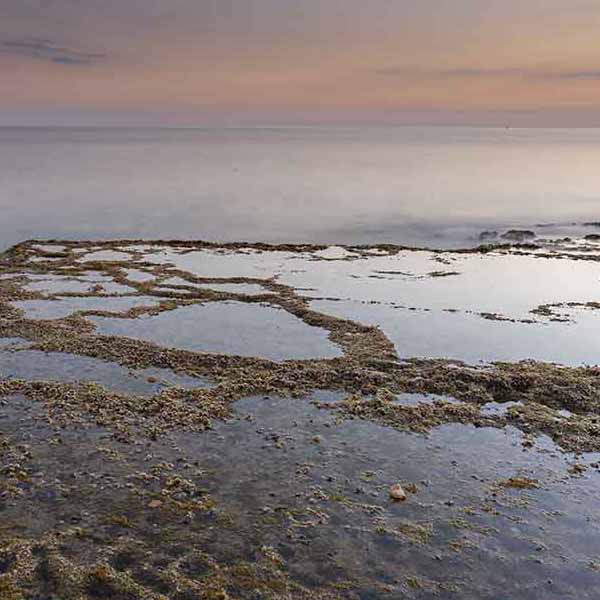 Blue Ocean Rocks will make a perfect background for any fresh or salt water tank or aquarium as well as dry terrariums.