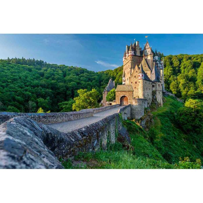 Burg Germany Castle makes a perfect background for any fresh or salt water tank or aquarium as well as dry terrariums.