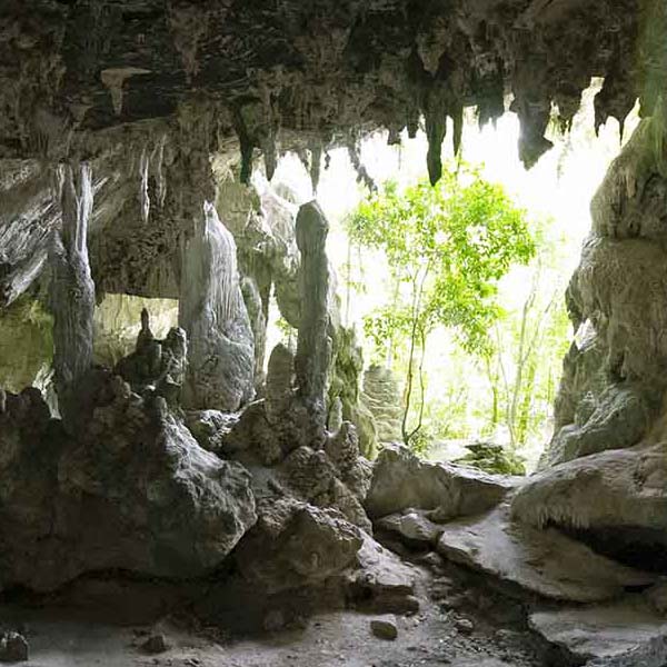 Cave Entrance Found will make a perfect background for any fresh or salt water tank or aquarium as well as dry terrariums.