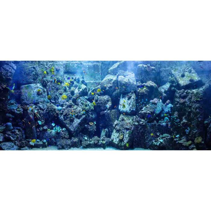 Coral Reef Fish II will make a perfect background for any fresh or salt water tank or aquarium as well as dry terrariums.