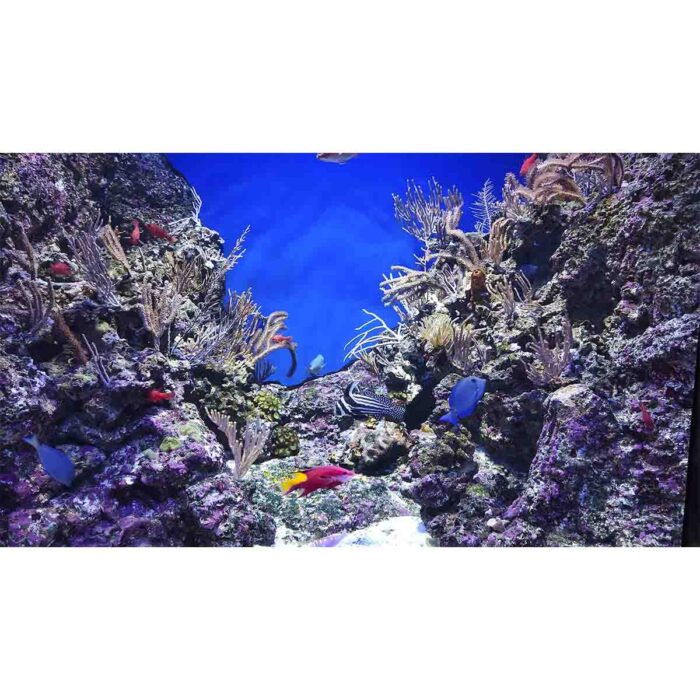 Coral Reef Seaweed will make a perfect background for any fresh or salt water tank or aquarium as well as dry terrariums.