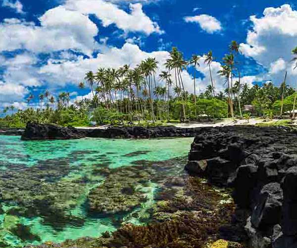 Coral Reef Snorkeling will make a perfect background for any fresh or salt water tank or aquarium as well as dry terrariums.