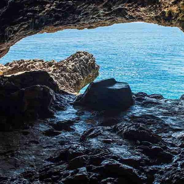 Cypress Cave View makes a perfect background for any fresh or salt water tank or aquarium as well as dry terrariums.