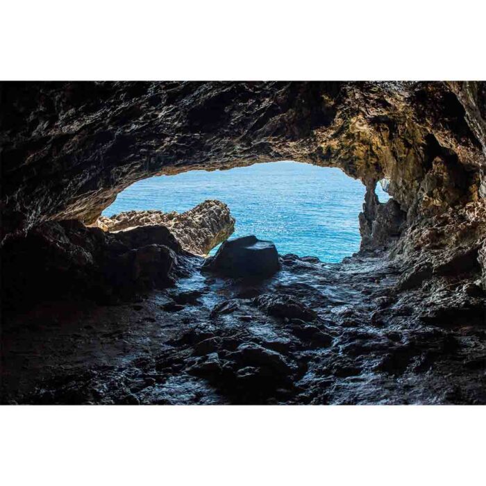 Cypress Cave View makes a perfect background for any fresh or salt water tank or aquarium as well as dry terrariums.