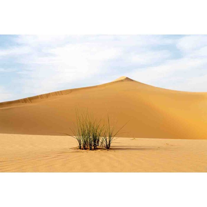 Desert Sand Dunes will make a perfect background for any fresh or salt water tank or aquarium as well as dry terrariums.