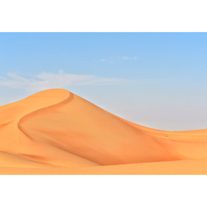 Desert Sand Dunes II will make a perfect background for any fresh or salt water tank or aquarium as well as dry terrariums.