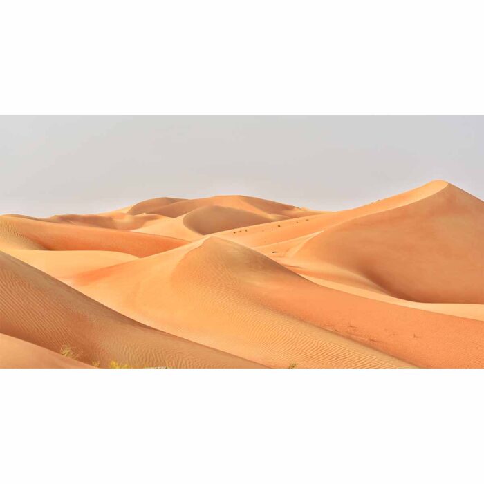 Sand Dunes IV will make a perfect background for any fresh or salt water tank or aquarium as well as dry terrariums.