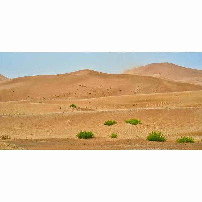 Desert Sand Dunes V will make a perfect background for any fresh or salt water tank or aquarium as well as dry terrariums.