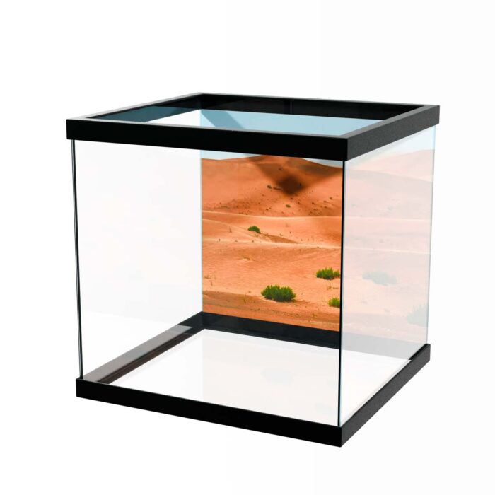 Desert Sand Dunes V will make a perfect background for any fresh or salt water tank or aquarium as well as dry terrariums.