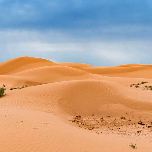 Desert Sand Dunes VI will make a perfect background for any fresh or salt water tank or aquarium as well as dry terrariums.