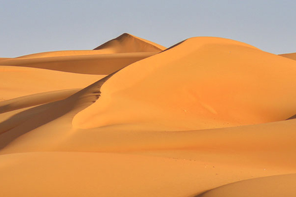 Desert Sand Dunes VII will make a perfect background for any fresh or salt water tank or aquarium as well as dry terrariums.