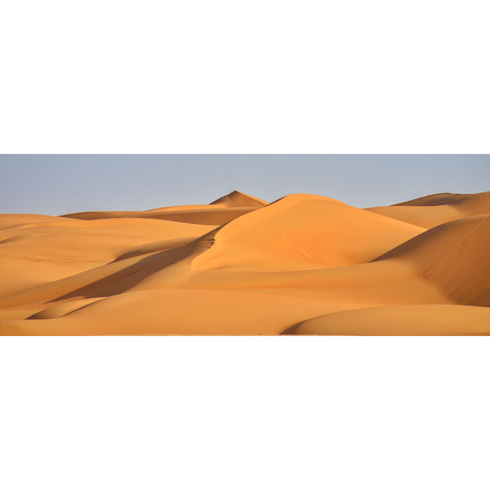 Desert Sand Dunes VII will make a perfect background for any fresh or salt water tank or aquarium as well as dry terrariums.