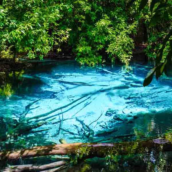 Emerald Lake Krabi will make a perfect background for any fresh or salt water tank or aquarium as well as dry terrariums.