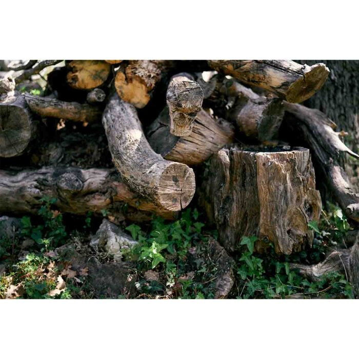 Felled Stump Lawn will make a perfect background for any fresh or salt water tank or aquarium as well as dry terrariums.