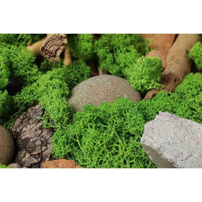 Green Moss Rock IV will make a perfect background for any fresh or salt water tank or aquarium as well as dry terrariums.