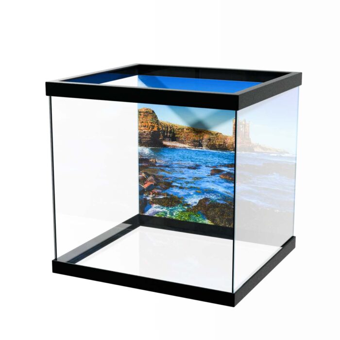 Keiss Castle Scotland makes a perfect background for any fresh or salt water tank or aquarium as well as dry terrariums.