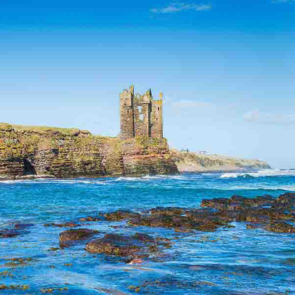 Keiss Castle Scotland makes a perfect background for any fresh or salt water tank or aquarium as well as dry terrariums.