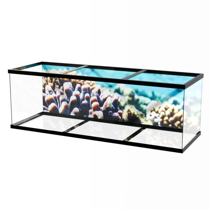 Light Coral Underwater will make a perfect background for any fresh or salt water tank or aquarium as well as dry terrariums.