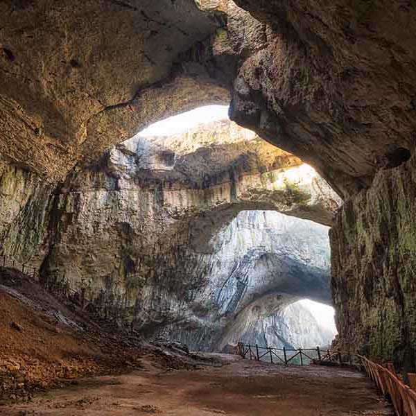 Magical Cave Entrance will make a perfect background for any fresh or salt water tank or aquarium as well as dry terrariums.