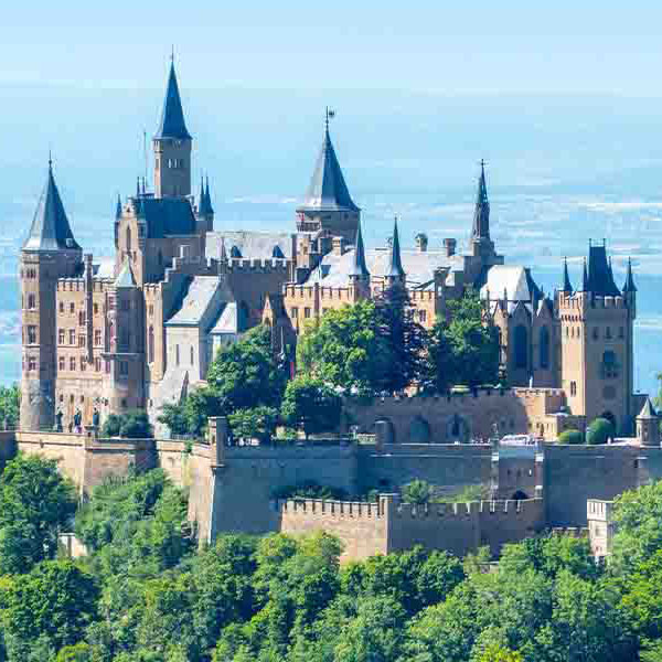 Magnificent Castle View makes a perfect background for any fresh or salt water tank or aquarium as well as dry terrariums.