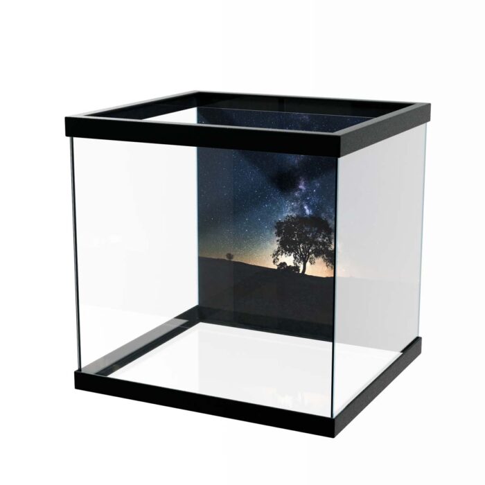 Milky Way Tree will make a perfect background for any fresh or salt water tank or aquarium as well as dry terrariums.