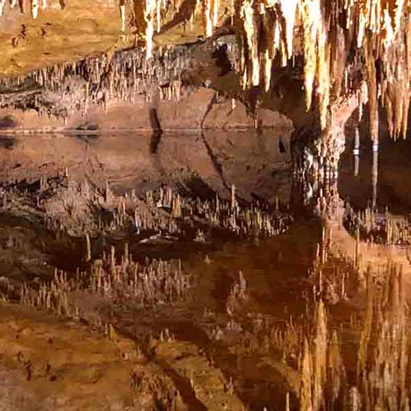 Mirror Reflection Cave will make a perfect background for any fresh or salt water tank or aquarium as well as dry terrariums.