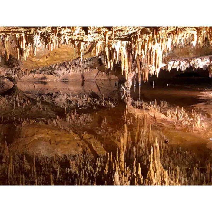 Mirror Reflection Cave will make a perfect background for any fresh or salt water tank or aquarium as well as dry terrariums.