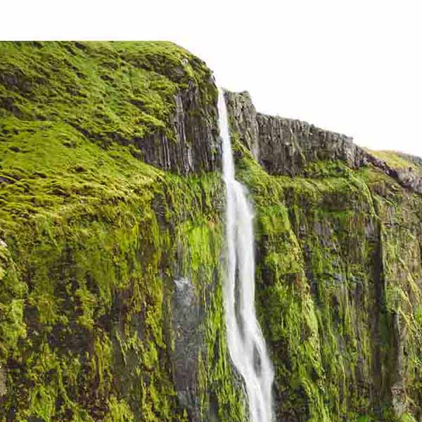 Moss Covered Cliff will make a perfect background for any fresh or salt water tank or aquarium as well as dry terrariums.