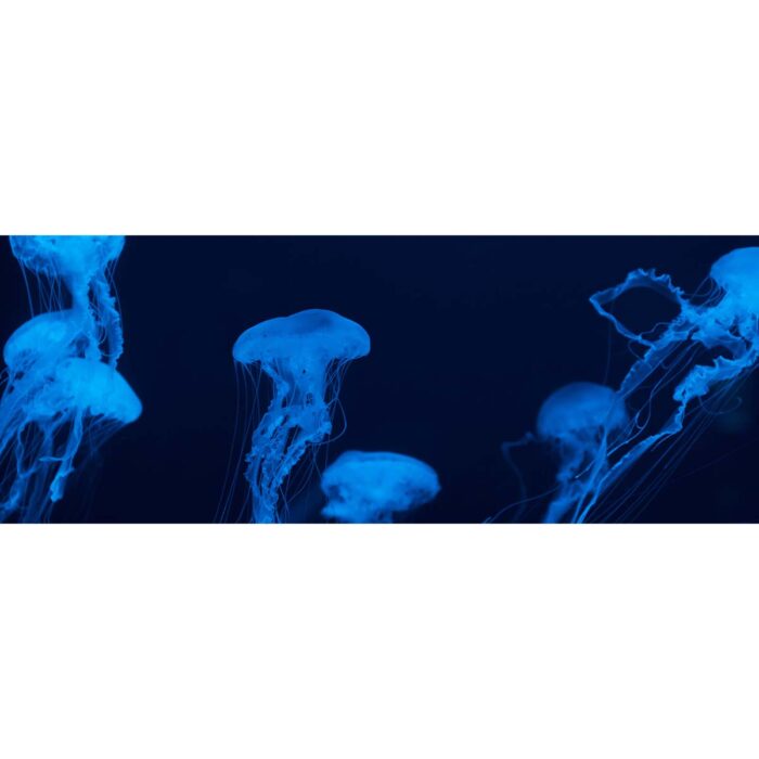 Neon Jellyfish Tentacles will make a perfect background for any fresh or salt water tank or aquarium as well as dry terrariums.