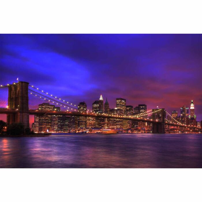 New York Cityscape makes a perfect background for any fresh or salt water tank or aquarium as well as terrariums.