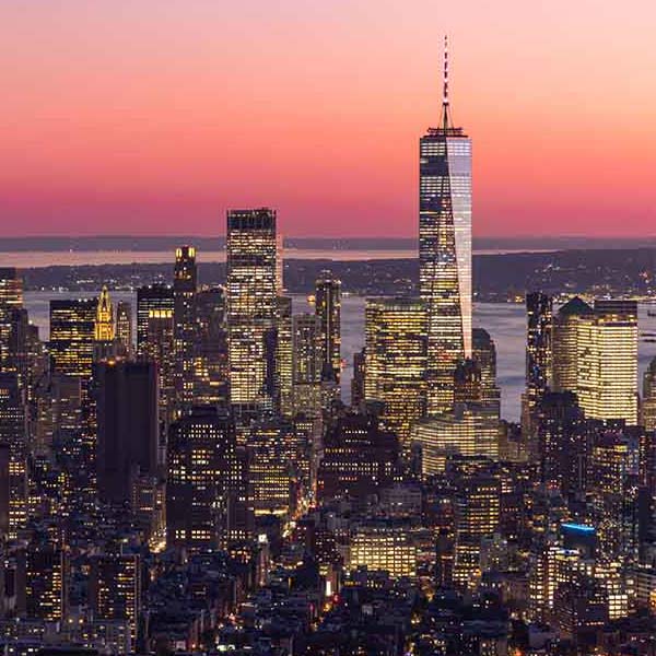 New York Skyline makes a perfect background for any fresh or salt water tank or aquarium as well as terrariums.