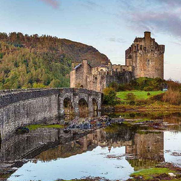 Old Castle Bridge makes a perfect background for any fresh or salt water tank or aquarium as well as dry terrariums.