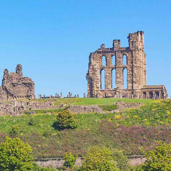 Old Castle Ruins makes a perfect background for any fresh or salt water tank or aquarium as well as dry terrariums.