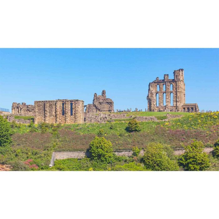 Old Castle Ruins makes a perfect background for any fresh or salt water tank or aquarium as well as dry terrariums.