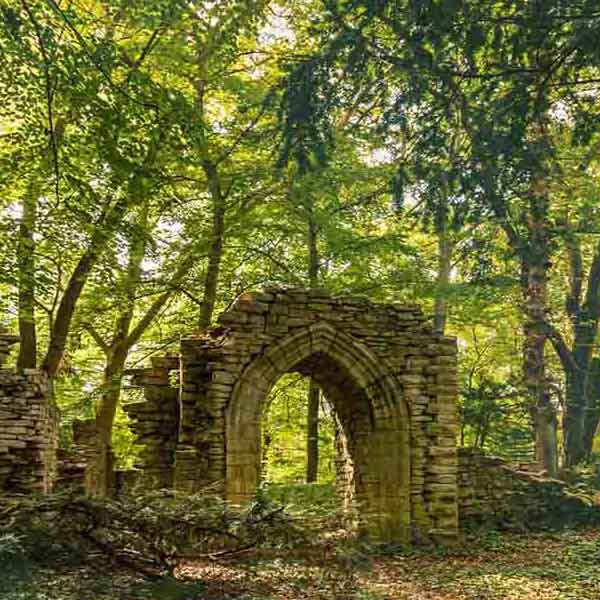 Old Castle Ruins II will make a perfect background for any fresh or salt water tank or aquarium as well as dry terrariums.